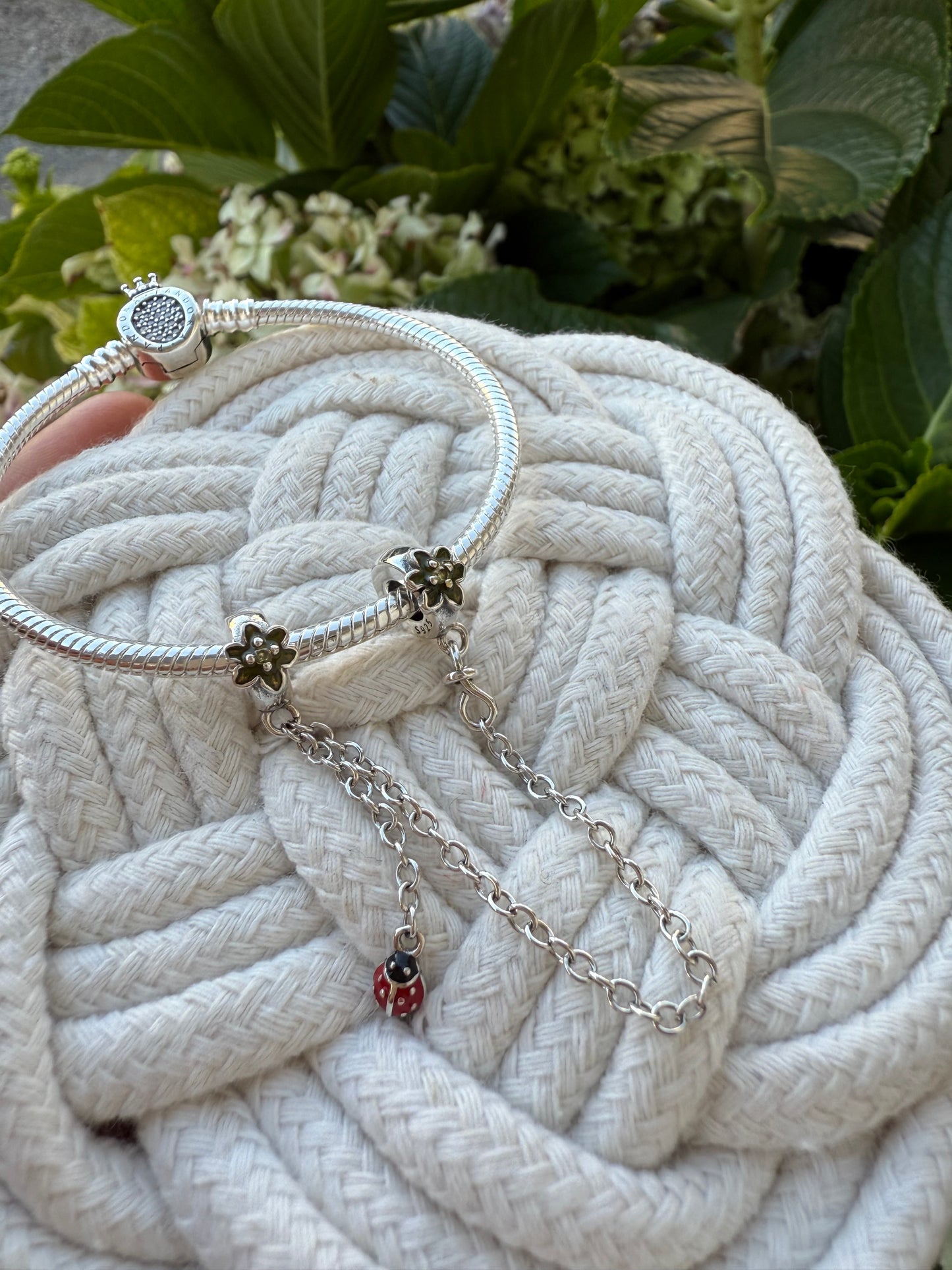 Cadena de seguridad mariquita