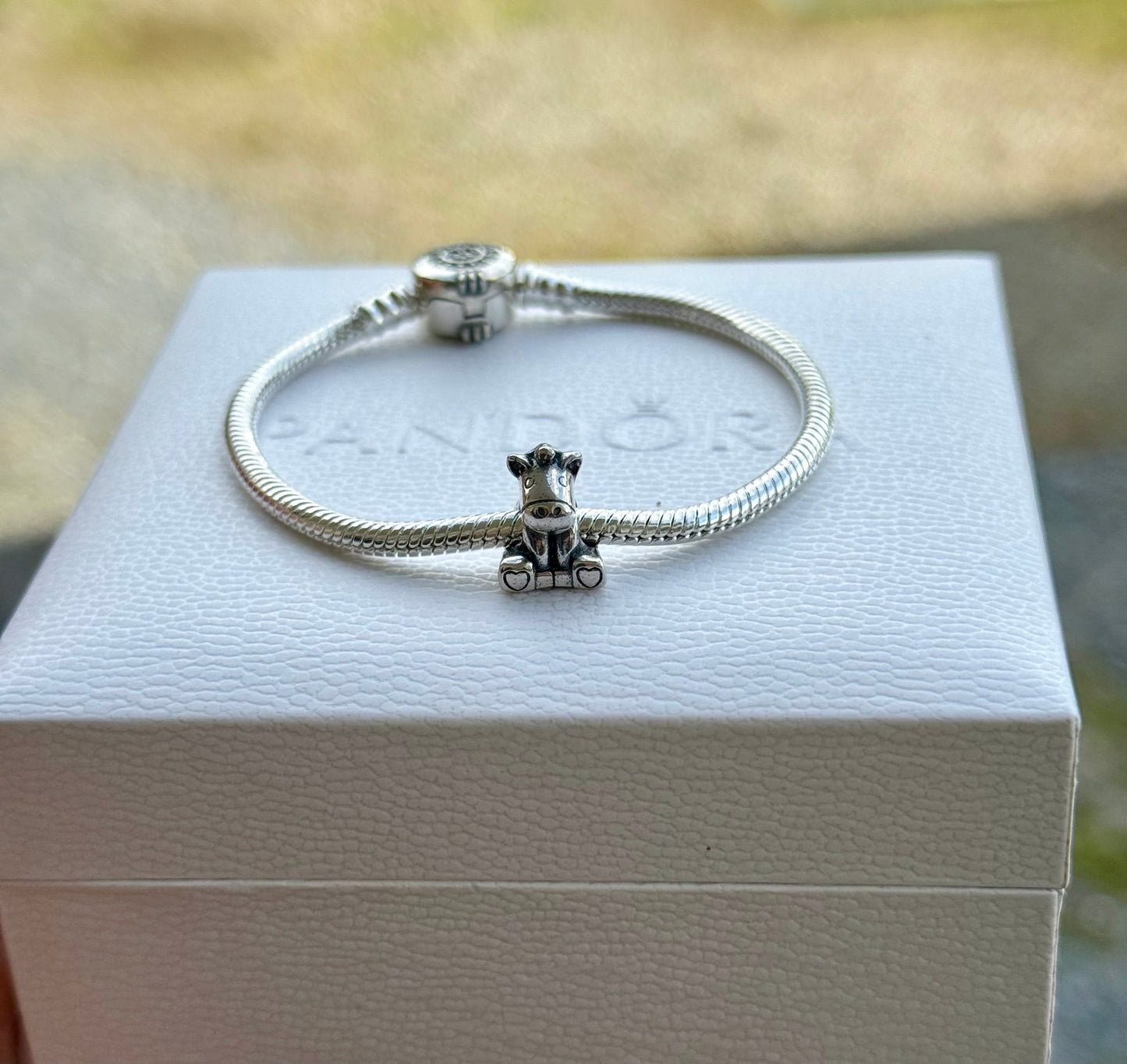 Charm burrito pandora original