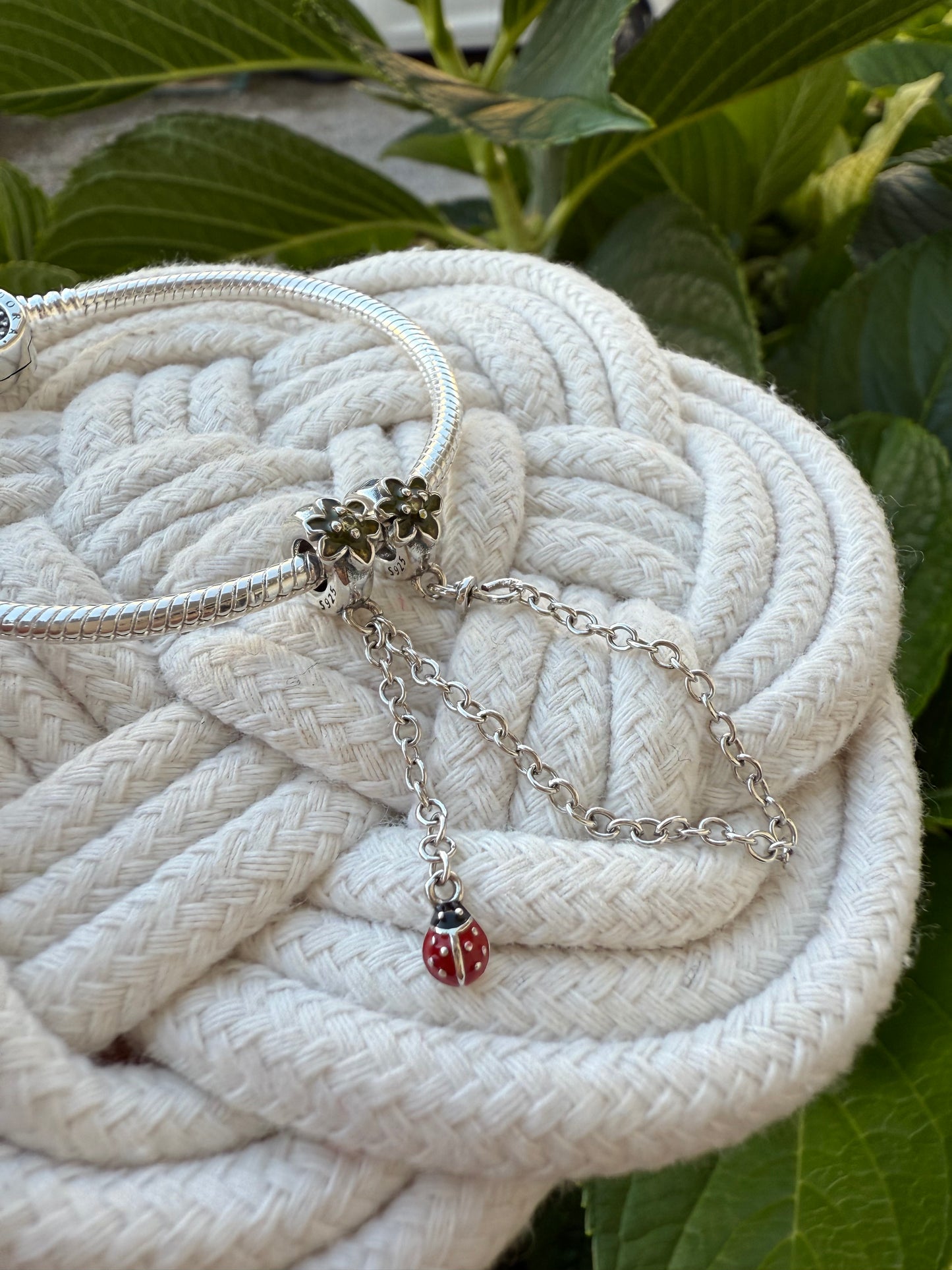 Cadena de seguridad mariquita