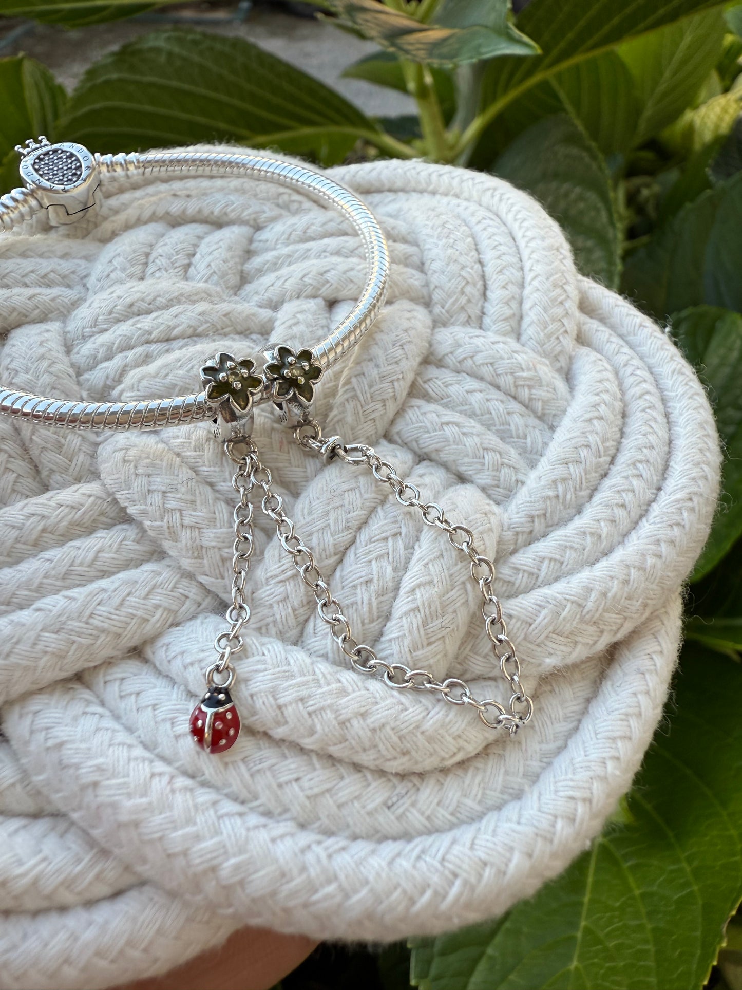 Cadena de seguridad mariquita