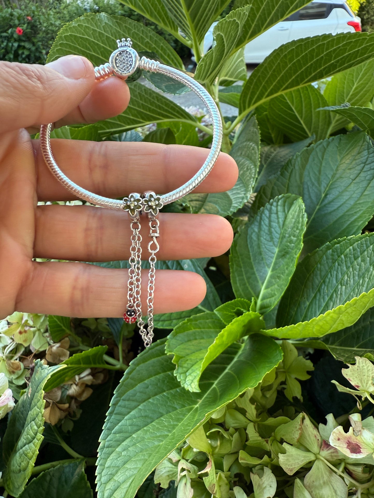 Cadena de seguridad mariquita