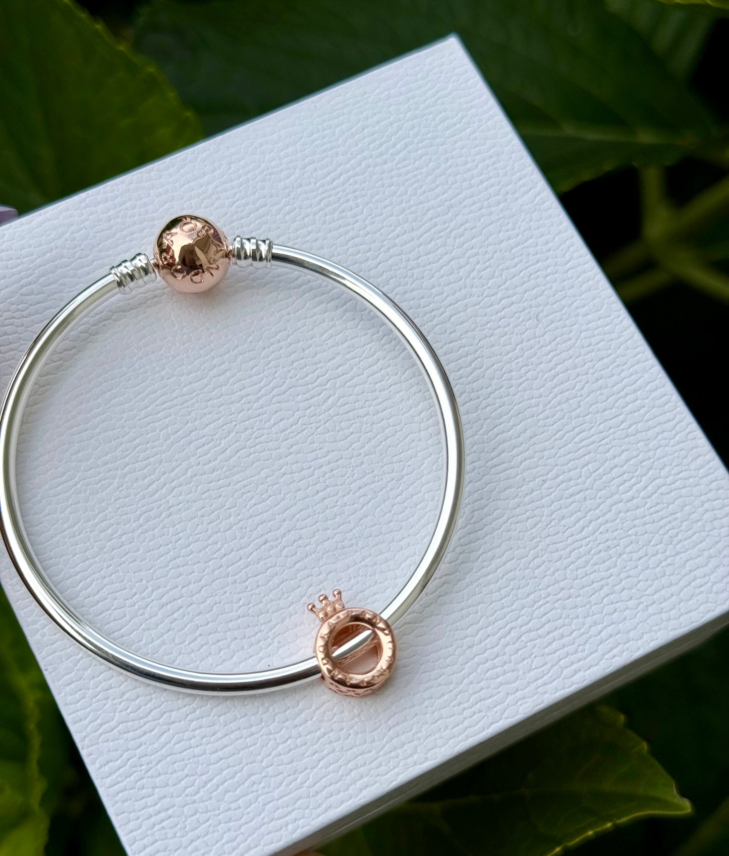 Charm corona pandora